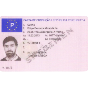 Portuguese drivers license